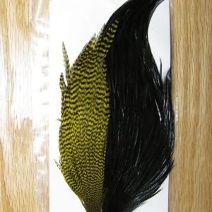 Domestic Neck Grizzly Dyed